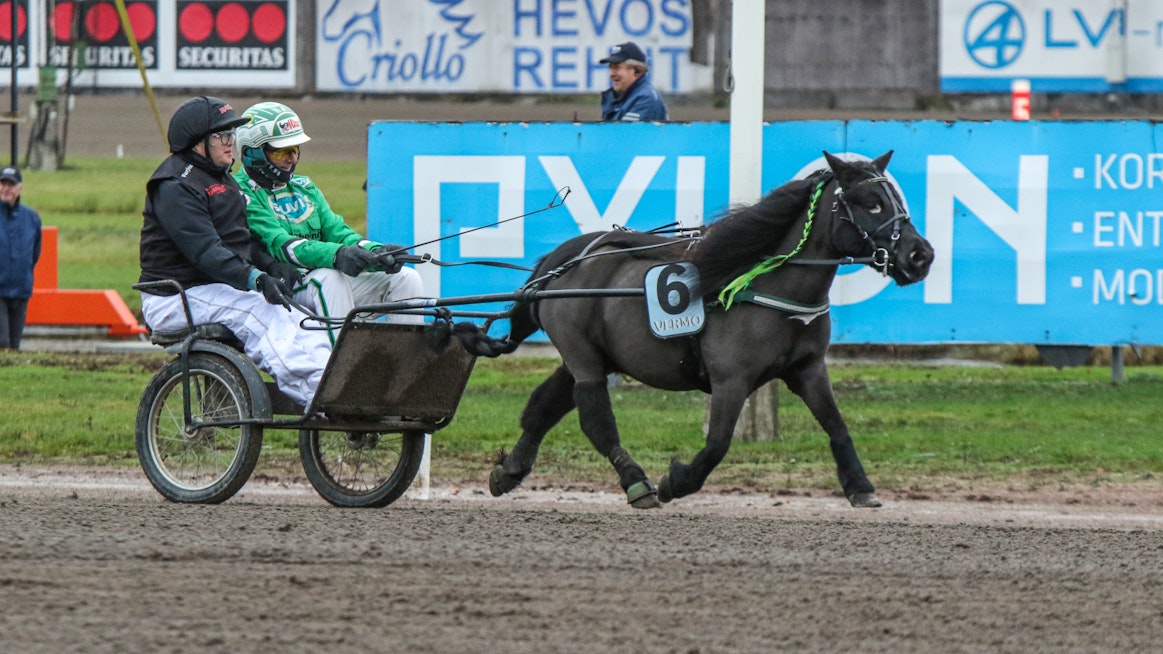 Matias Metsälä ja Ari Moilanen ohjastavat Skogsborgs Winnietä Vermon ensimmäisessä pararaviponilähdössä viime marraskuussa.