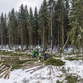 Suurin osa metsänomistajista on tyytyväisiä viimeisimpään puukauppaansa.