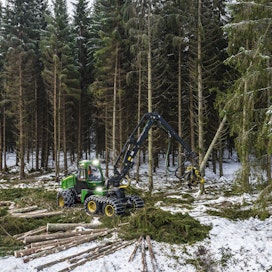 Uudistushakkuilla kaadettavien puiden keskijäreys on kasvanut Etelä-Suomessa.
