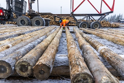 Finprofilella pylvään pituus vaihtelee seitsemästä 24 metriin. 95 prosenttia tuotannosta on mäntyä.