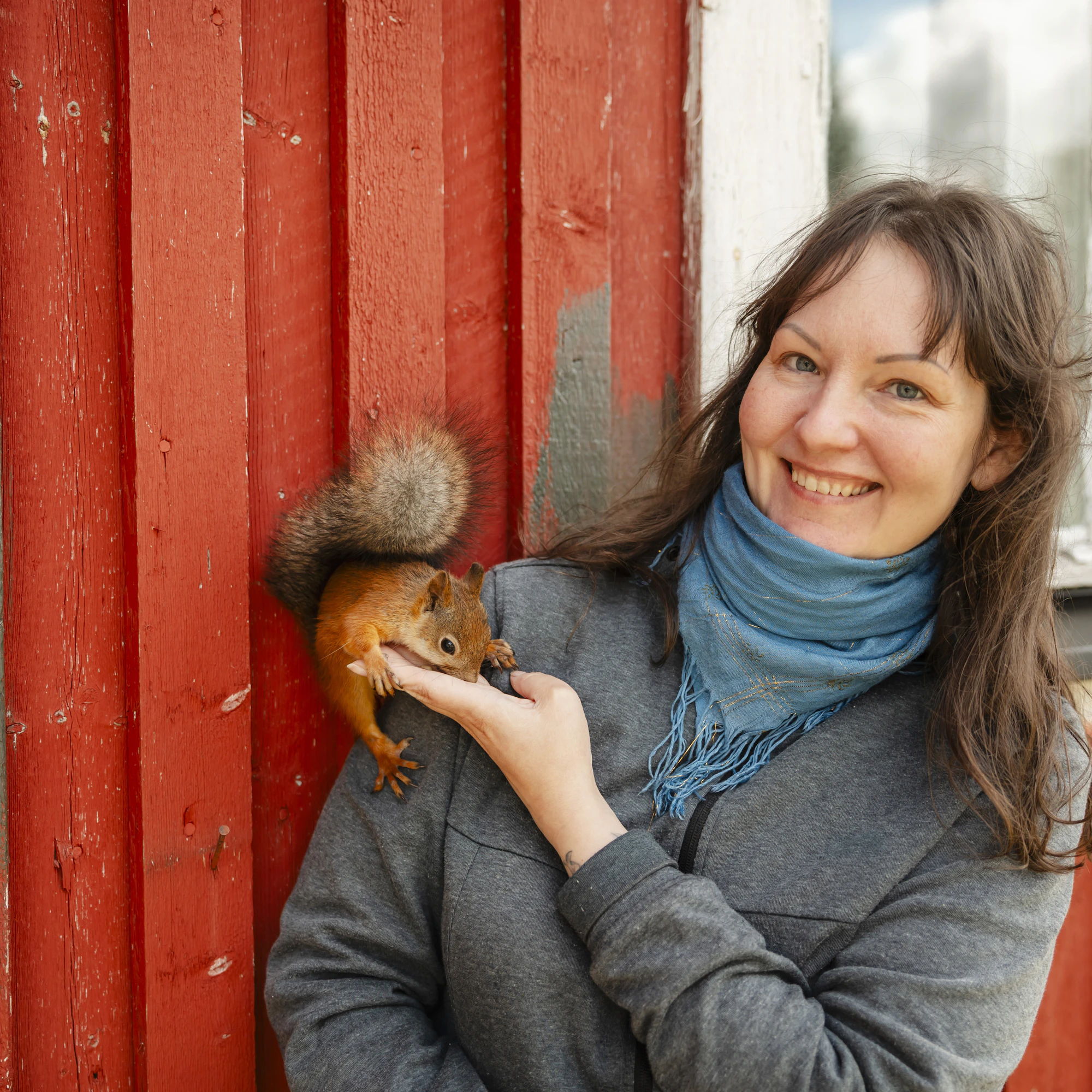 Katja Kohtala ei ole yrittänyt kesyttää pihapiirin oravia, vaan ne hakeutuivat ensin lintulaudoille ja sitten asukkaiden luokse.