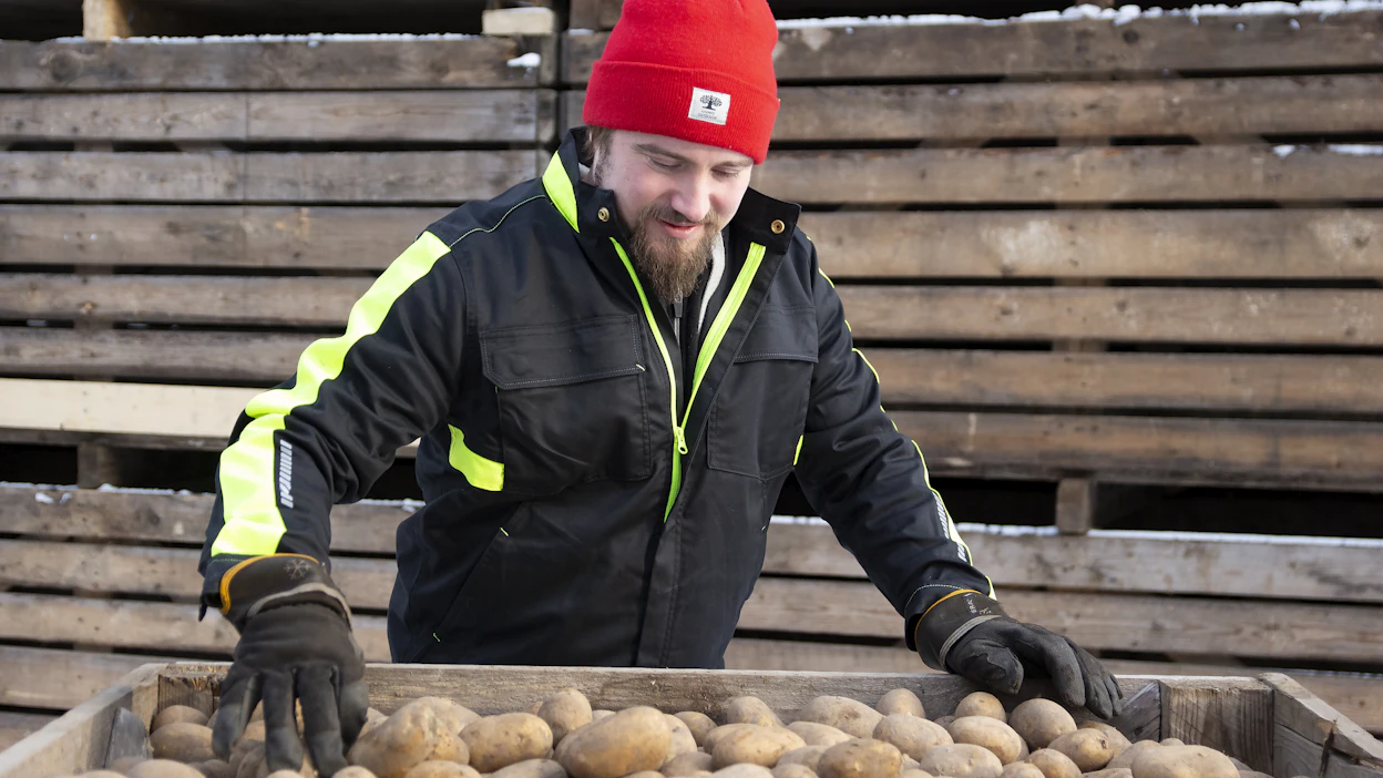 Samuli Leskelälle perunanviljely merkitsee työn lisäksi jatkuvaa uuden opettelua ja tiedon hankkimista.