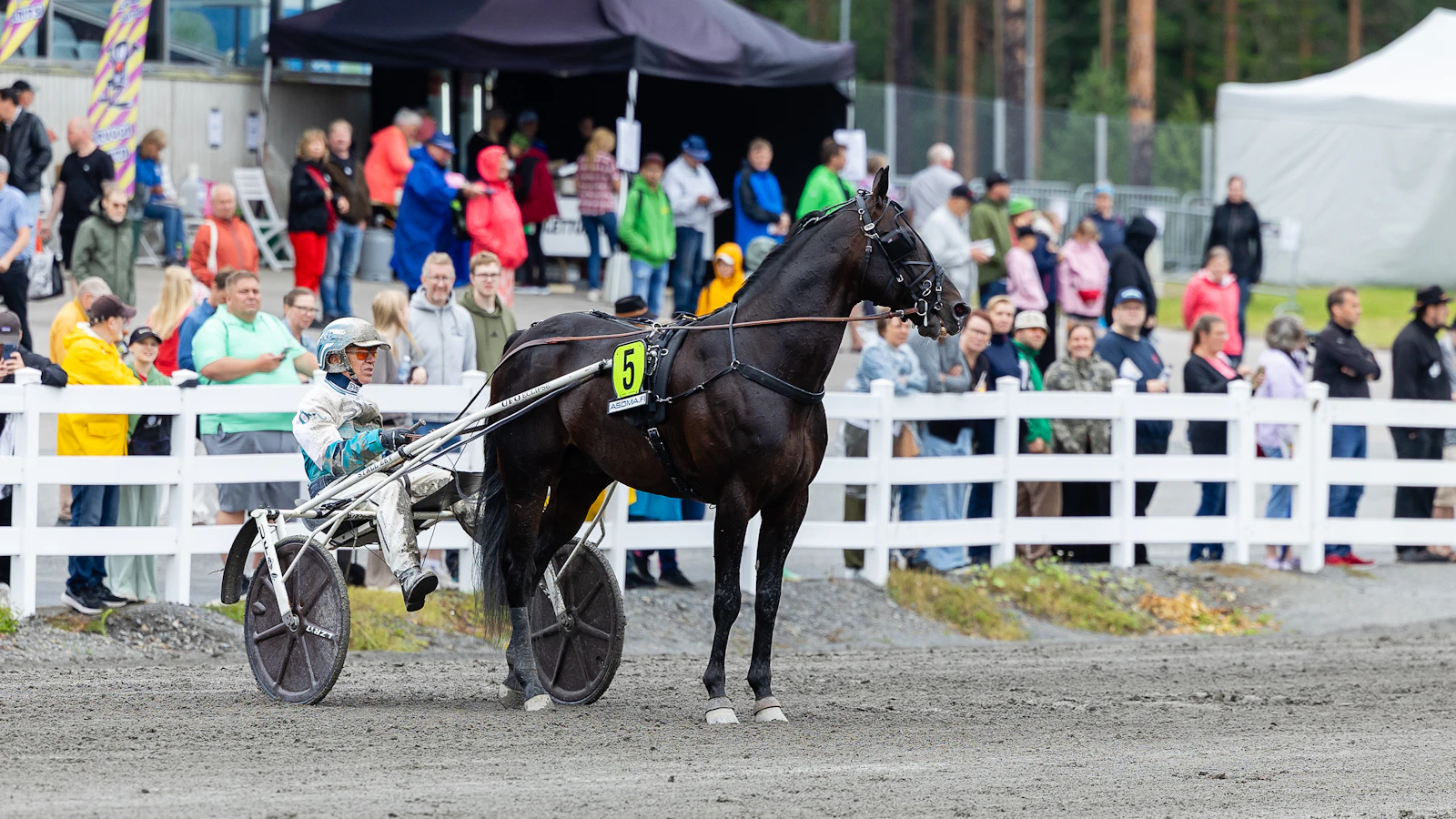 Maaseudun Tulevaisuus