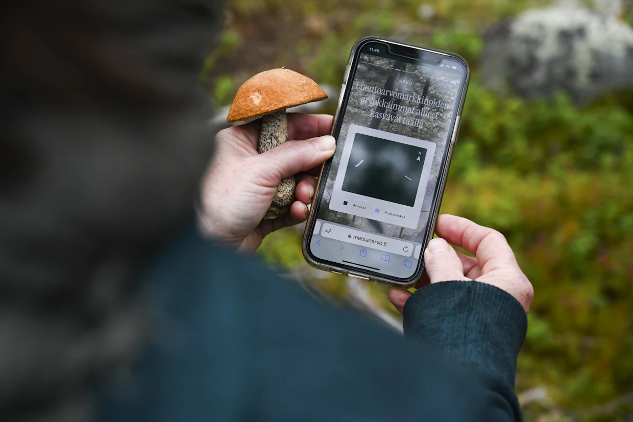 ”Luontoarvot on löydettävissä, mitattavissa ja turvattavissa”, vakuuttaa Annukka Valkeapää. Kuvassa hän esittelee Metsän arvo -palvelun karttanäkymää, jossa näkyvät luonnonarvoiltaan rikkaimmat metsäalueet.