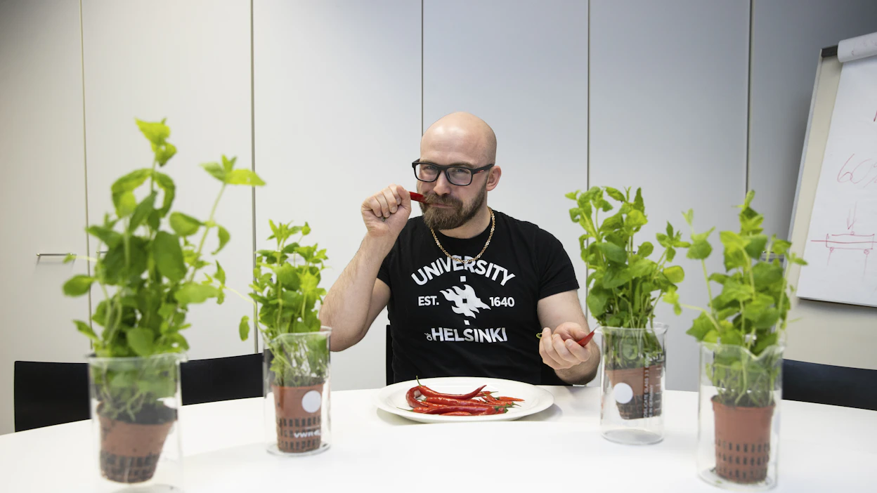 Aistilaboratorio on kuin Sulo Roukan toinen koti. Tavallisissa laboratorioissa ei koskaan saa syödä mitään, aistilaboratorio on tässä suhteessa erilainen.
