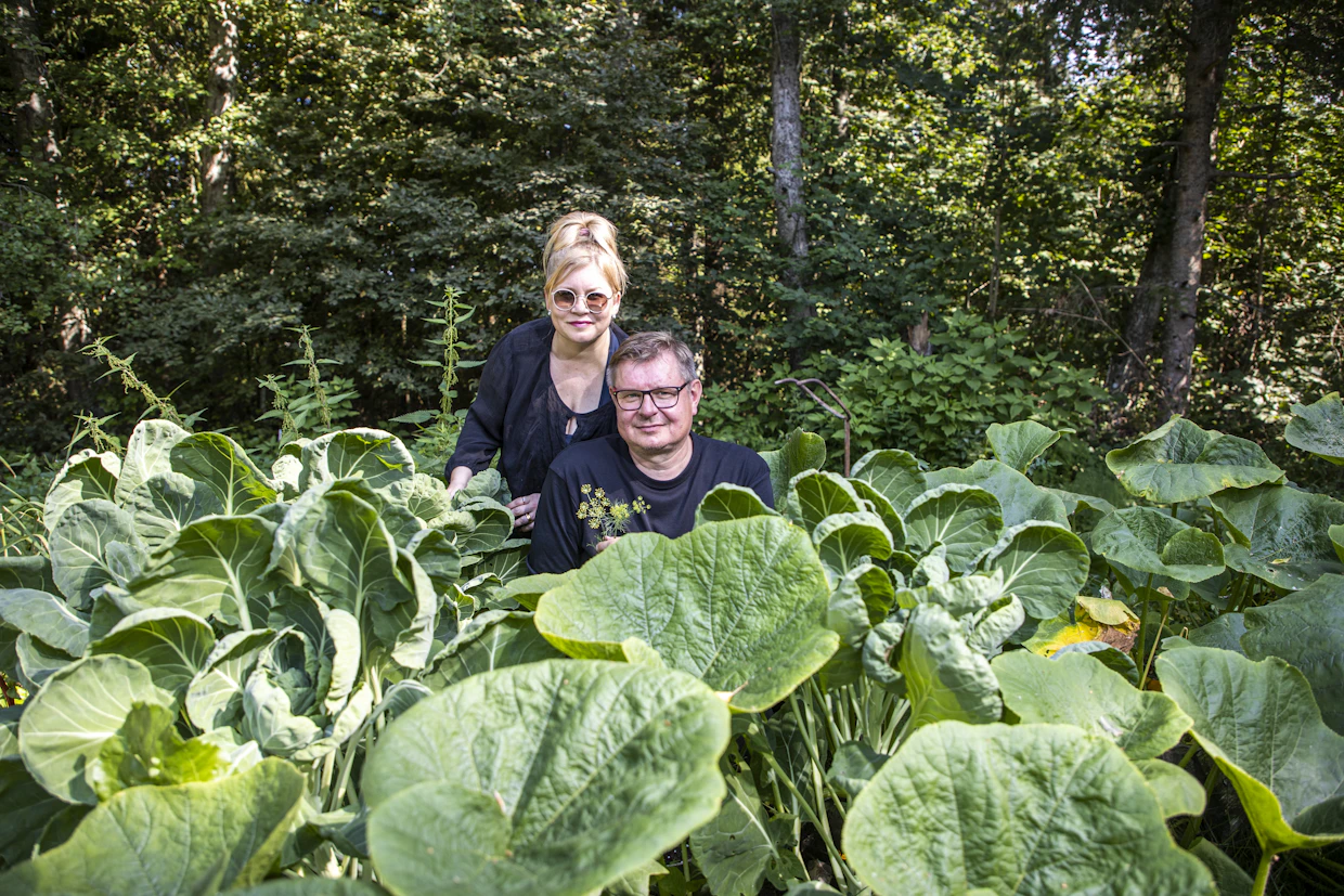 Henni ja Henri ovat innostuneet hyötykasvien viljelystä kakkoskodissaan maaseudulla. Sitä ennen he kartuttivat puutarhakokemusta koristekasvien parissa.