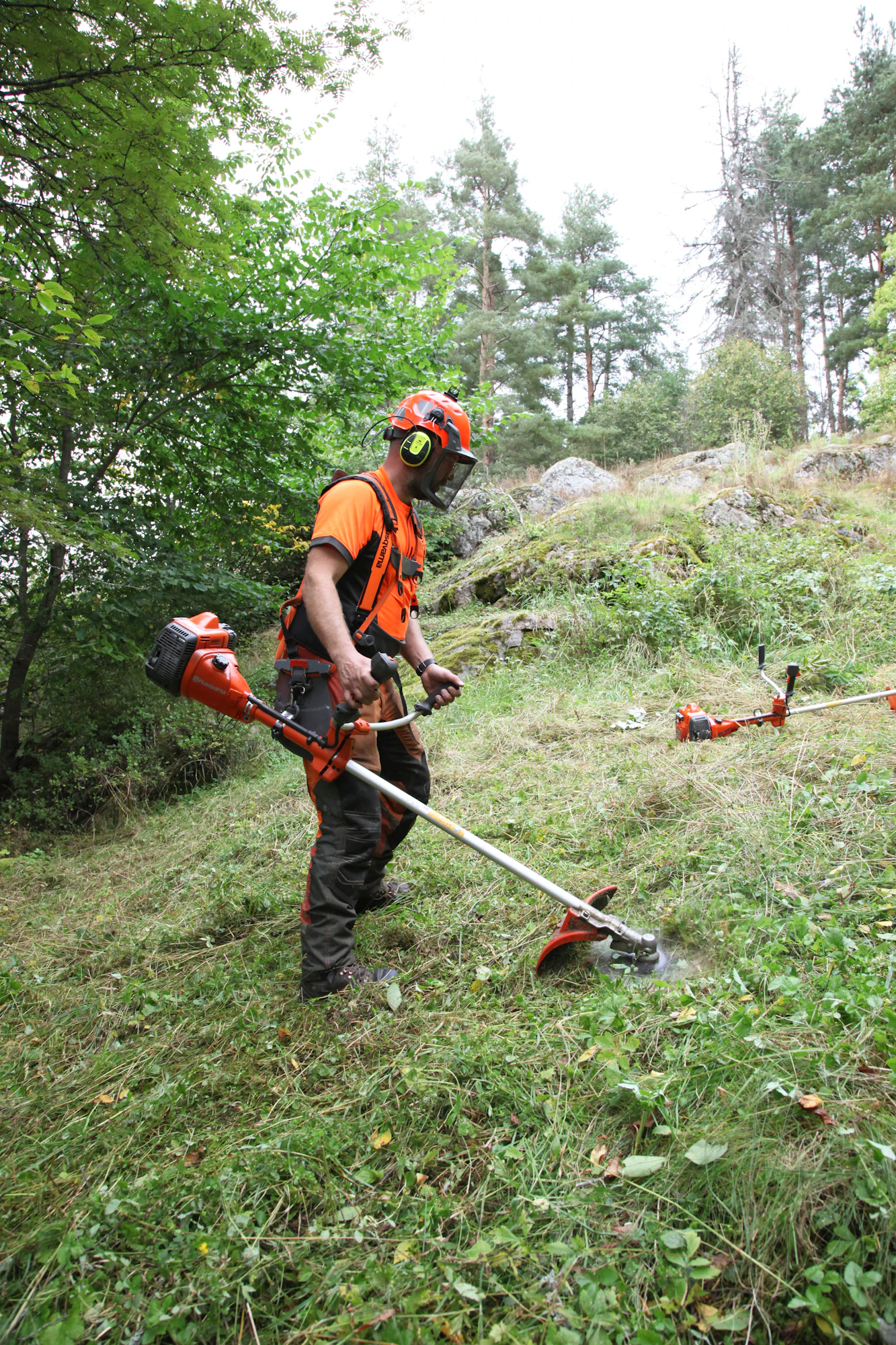 Jorma Halonen vertailee Huskun metsäraivurin (käsissä) ja monitoimiraivurin kierrosnopeuden vaikutusta vesakkoterän toimintaan.