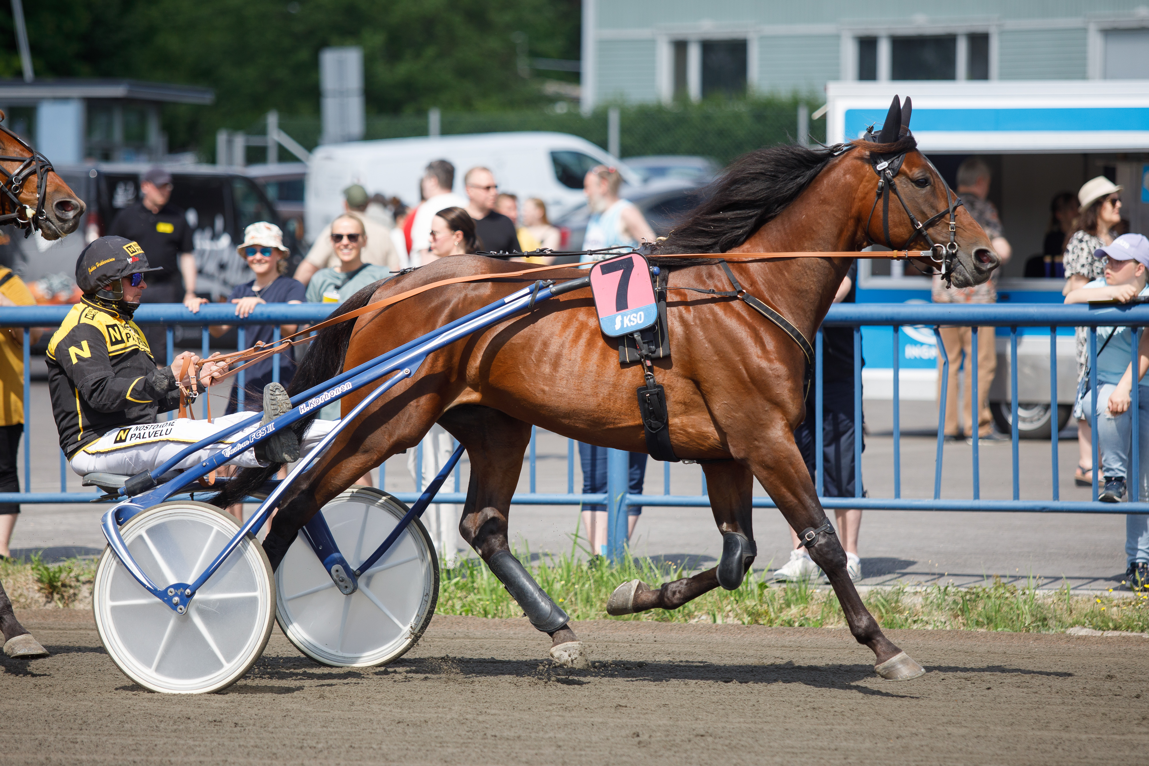 Jukka Hakkaraisen valmentama Massimo Hoist on vihjerivin varma.