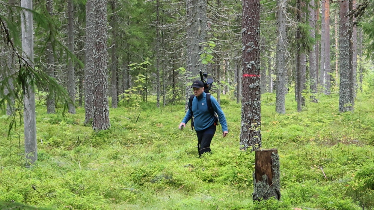 Nykyaikaisella skannaustekniikalla voi yksi henkilö mitata reititetyllä kävelyllä metsistä valtavan määrän tietoa.