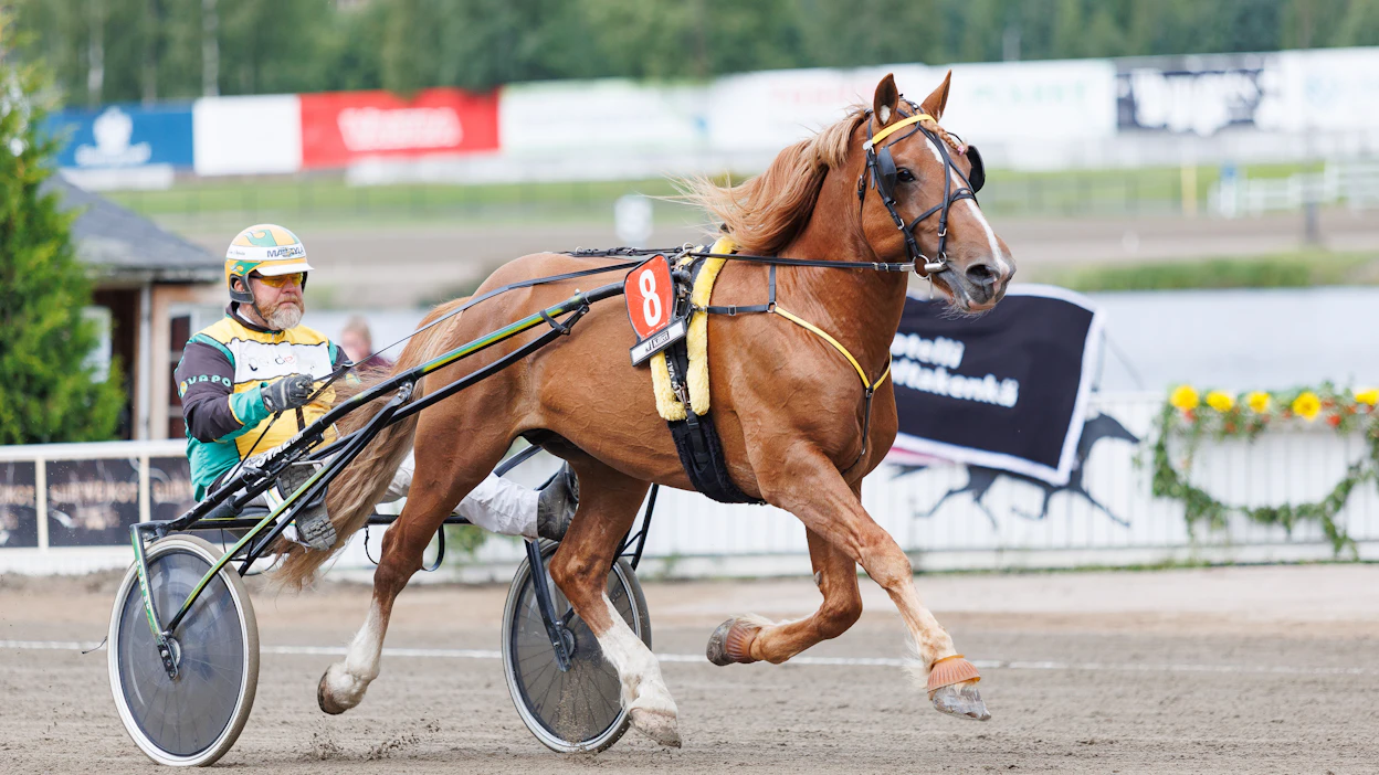 Teemu Okkolinin ohjastama ja valmentama Myllyn Vili tavoittelee tänään kauden neljättä voittoaan.