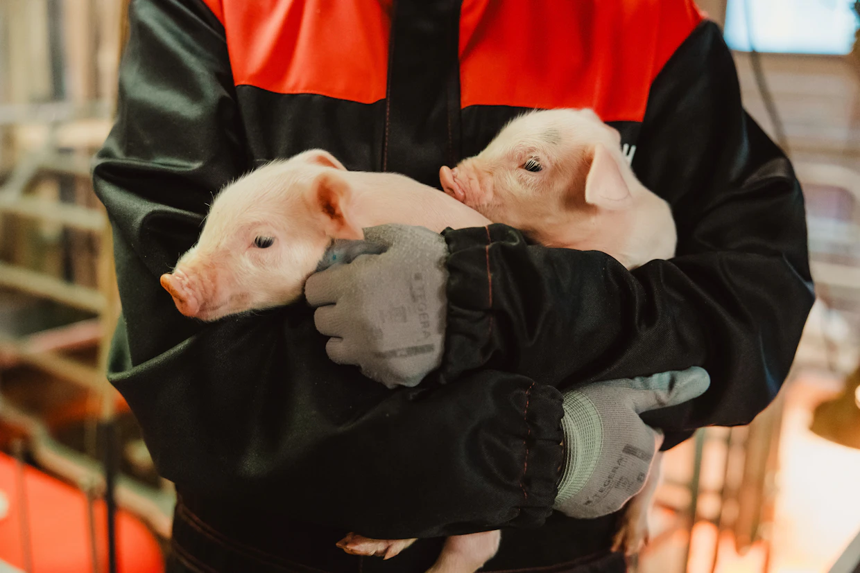 Taloudellinen paine kasvaa, kun tulot pienenevät mutta kulut pysyvät lähes ennallaan. Kuvituskuva.