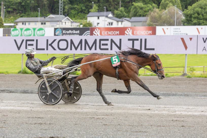 Pienikokoinen Express Go juoksee persoonallisella tyylillä, pää alhaalla. Ja hyvin juokseekin: se on voittanut kaikki starttinsa.
