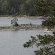 Talkoiden tavoitteena oli WWF:n mukaan palauttaa Fårön rantoja lähemmäs luonnontilaa. Kuvituskuva.
