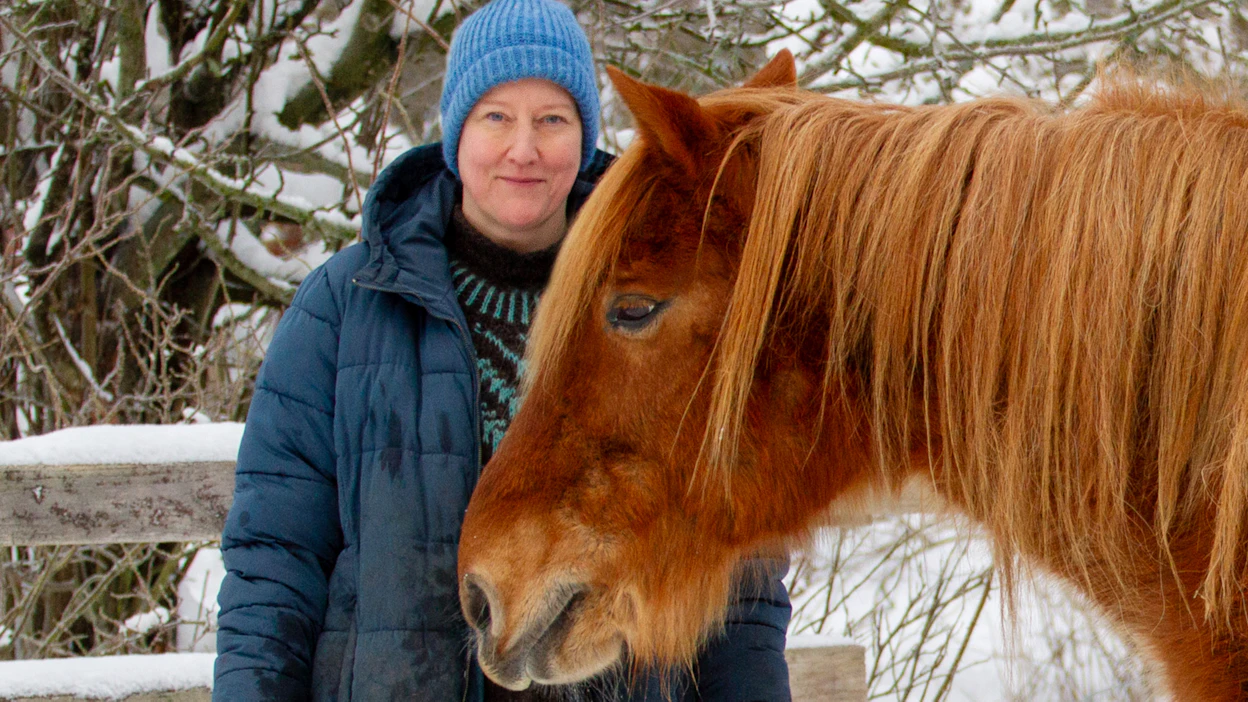Minna Tallberg ja suomenhevonen Viima. Tärkeintä koulutuksessa on Tallbergin mukaan siedättäminen, jotta hevonen ei jännittyisi eikä pelästyisi.