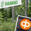 S-Pankin metsärahasto on suoriutunut muita heikommin.