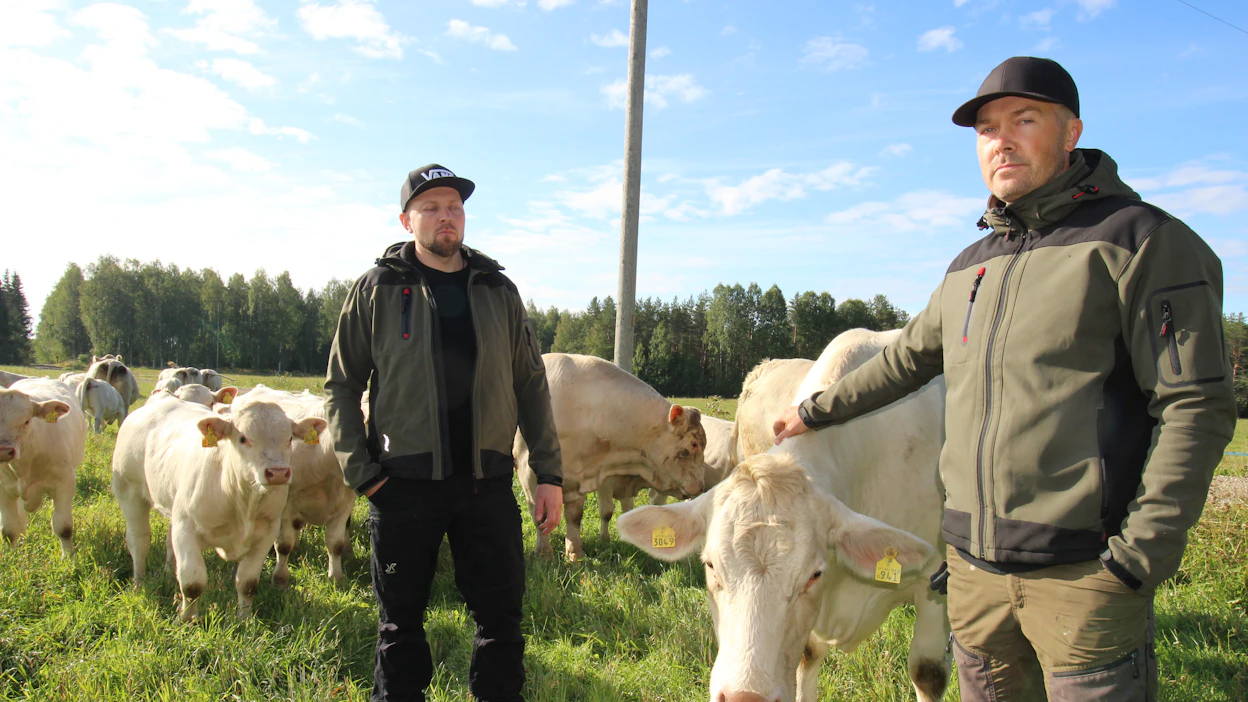 Kaavilaiset emolehmätuottajat Marko ja Jaakko Voutilainen korostavat tuotantoeläinten terveydestä ja viihtyvyydestä huolehtimisen tärkeyttä.