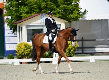 Junichiro Okawa ja Rh’s Totally Jokerin kauden 2025 ainoat kilpailut olivat kesäkuussa Hagenissa ratsastajan  saaman sydänkohtauksen vuoksi. 