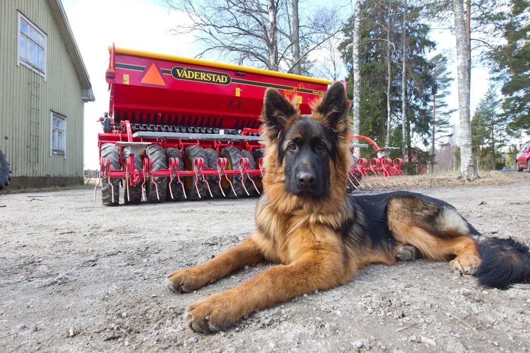Ihmisen ja koiran harvinaissairaudet ovat hyvin samankaltaisia.