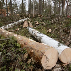 Suomessa on nykyisin 347 000 metsätilaa, mikä on noin 70 prosenttia enemmän kuin sotien jälkeen.