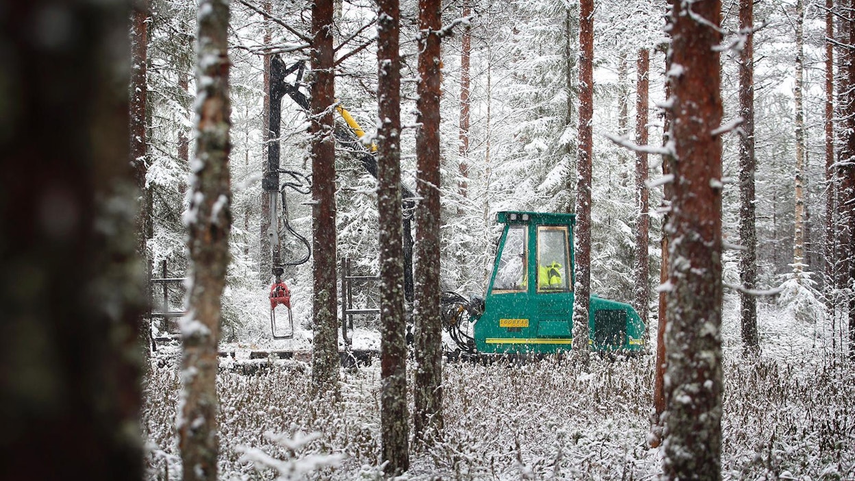 Teloilla varustettu metsäkone kokoaa kuormaa pehmeäpohjaisessa maastossa Saarijärven Pylkönmäellä.
