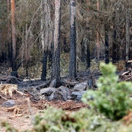 Metsäpalot aiheuttavat pienhiukkaspäästöjä.
