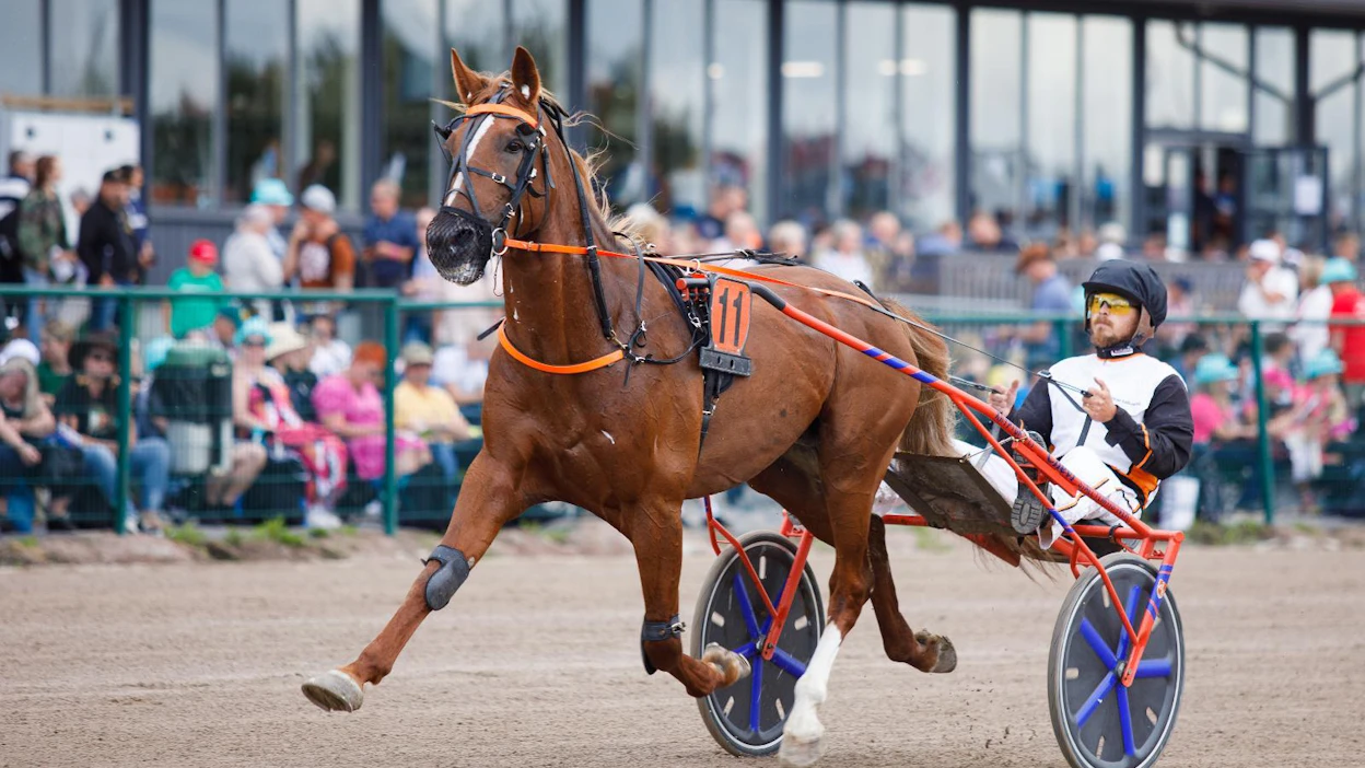 Jarno Kallionpään valmentama Orvar Iver on vihjerivin varma.