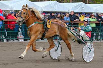 Elias Intomieli kilpaili 11 peräkkäisellä kaudella, vaikka jalkavaivat varjostivat uraa.