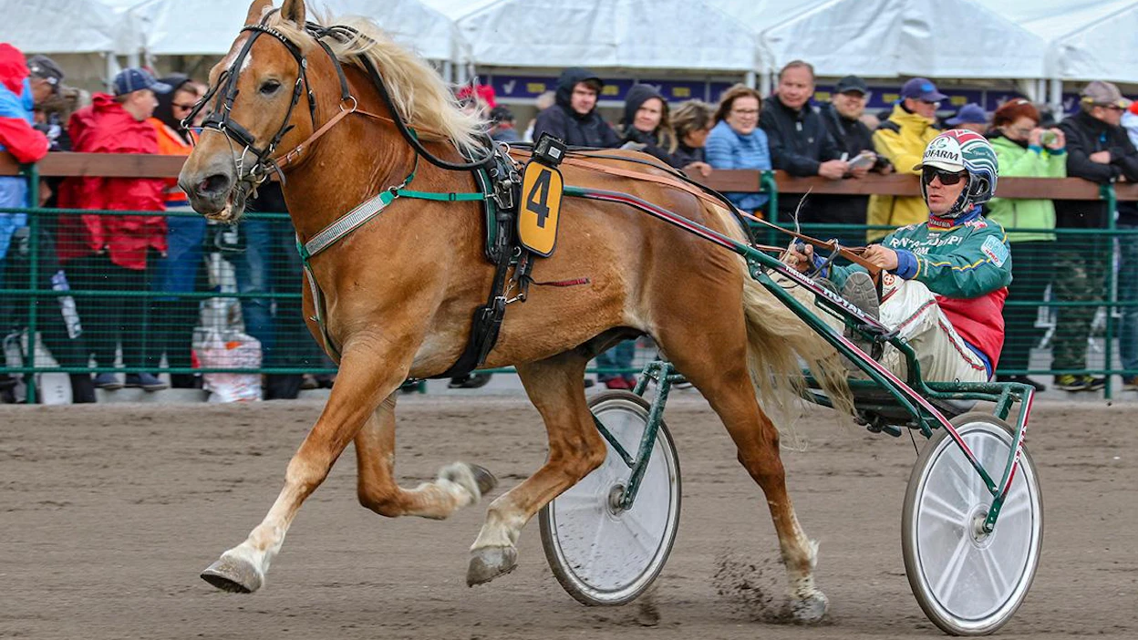 Elias Intomieli kilpaili 11 peräkkäisellä kaudella, vaikka jalkavaivat varjostivat uraa.