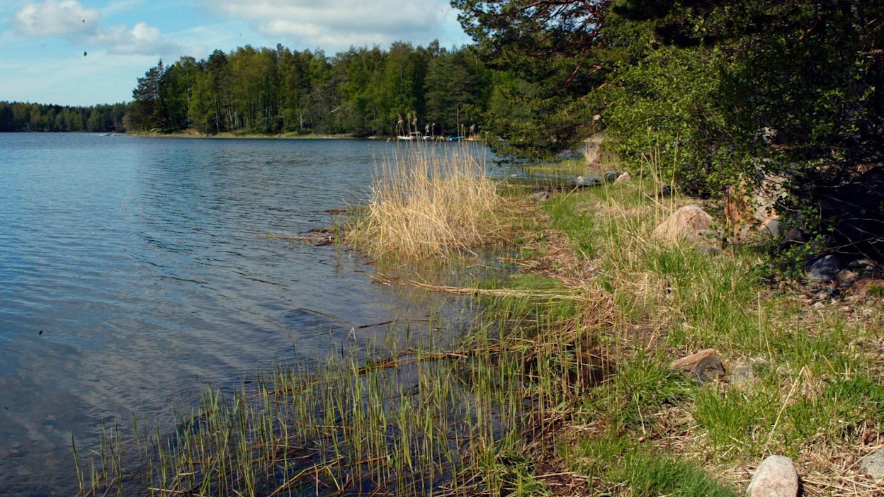 Veden pinta on alhaalla monissa vesistöissä. Kuvituskuva.