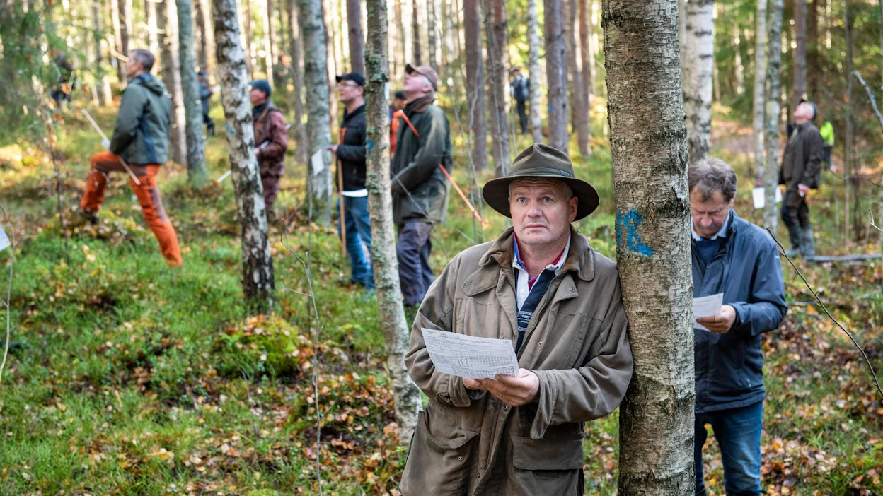 Metsänomistaja Anders Wasström pohti Porvoossa viime torstaina järjestettyjen metsätaitokilpailujen leimaustehtävässä, mitkä rungot tulisi poistaa seuraavassa harvennuksessa.
