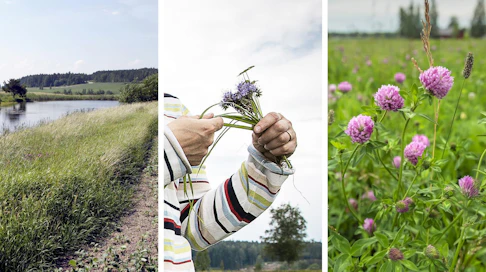Uusi maataloustukijärjestelmä sisältää niin kutsutun pakollisen ympäristöehdollisuuden, jota tulee noudattaa tukien ehtona. Neuvotteluissa esillä ovat vaatimukset muun muassa talviaikaiselle kasvipeitteisyydelle, turvemaiden sopivalle käytölle, suojakaistoille ja viljelykierrolle.