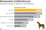 Hevostaloudessa työllistyy täysaikaisiksi työvuosiksi laskien suunnilleen yhtä paljon ihmisiä kuin metsäkoneenkuljettajina ja Lapin matkailussa.