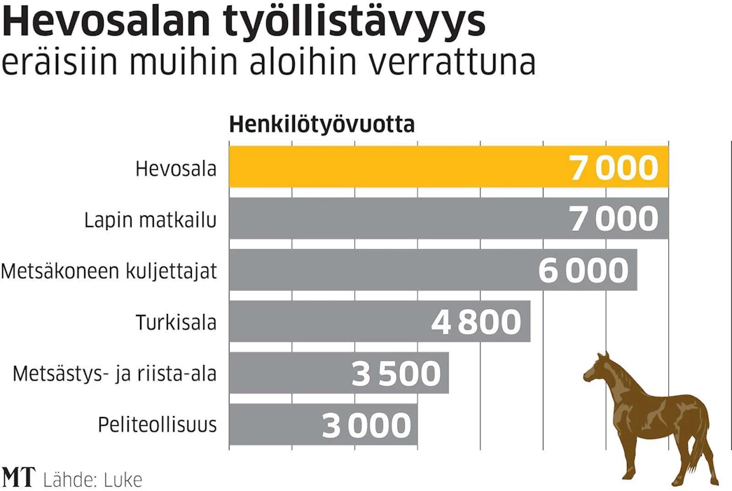 Hevostaloudessa työllistyy täysaikaisiksi työvuosiksi laskien suunnilleen yhtä paljon ihmisiä kuin metsäkoneenkuljettajina ja Lapin matkailussa.
