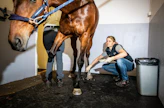 Hevoskirurgi Heidi Tapio tutki Equivetissä irtopalaleikkaukseen tullutta ratsua.