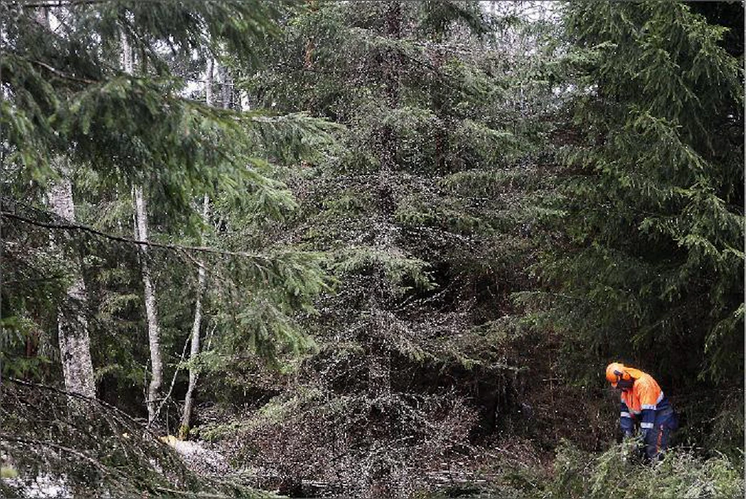 Metsänomistajien omat järjestötkään eivät hankintamyynteihin kannusta, kirjoittaa Arvi Pöyhönen. Kari Salonen