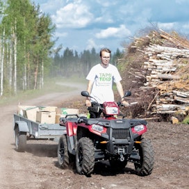 4H-yrittäjä Jalmari Koskinen haki kesällä täydennystä taimiin Virroilla.
