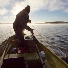 Kalastusta Inarinjärvellä. Paikallisten kalastuslupa olisi lakiuudistuksen myötä omakustannushintainen. Kuvituskuva.
