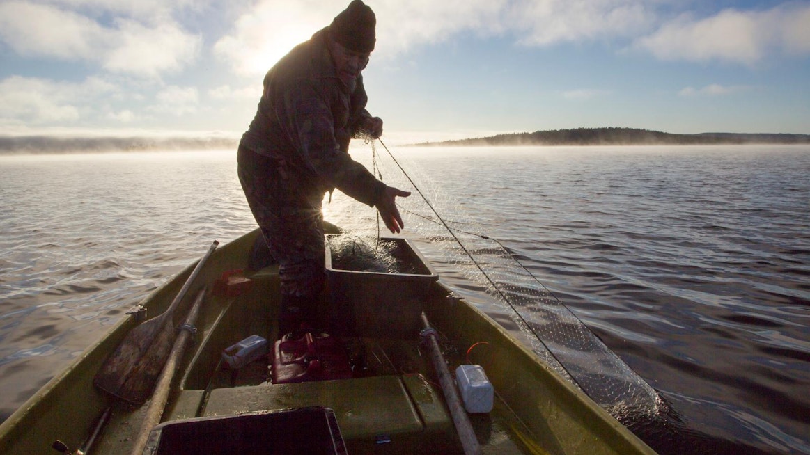 Kalastusta Inarinjärvellä. Paikallisten kalastuslupa olisi lakiuudistuksen myötä omakustannushintainen. Kuvituskuva.