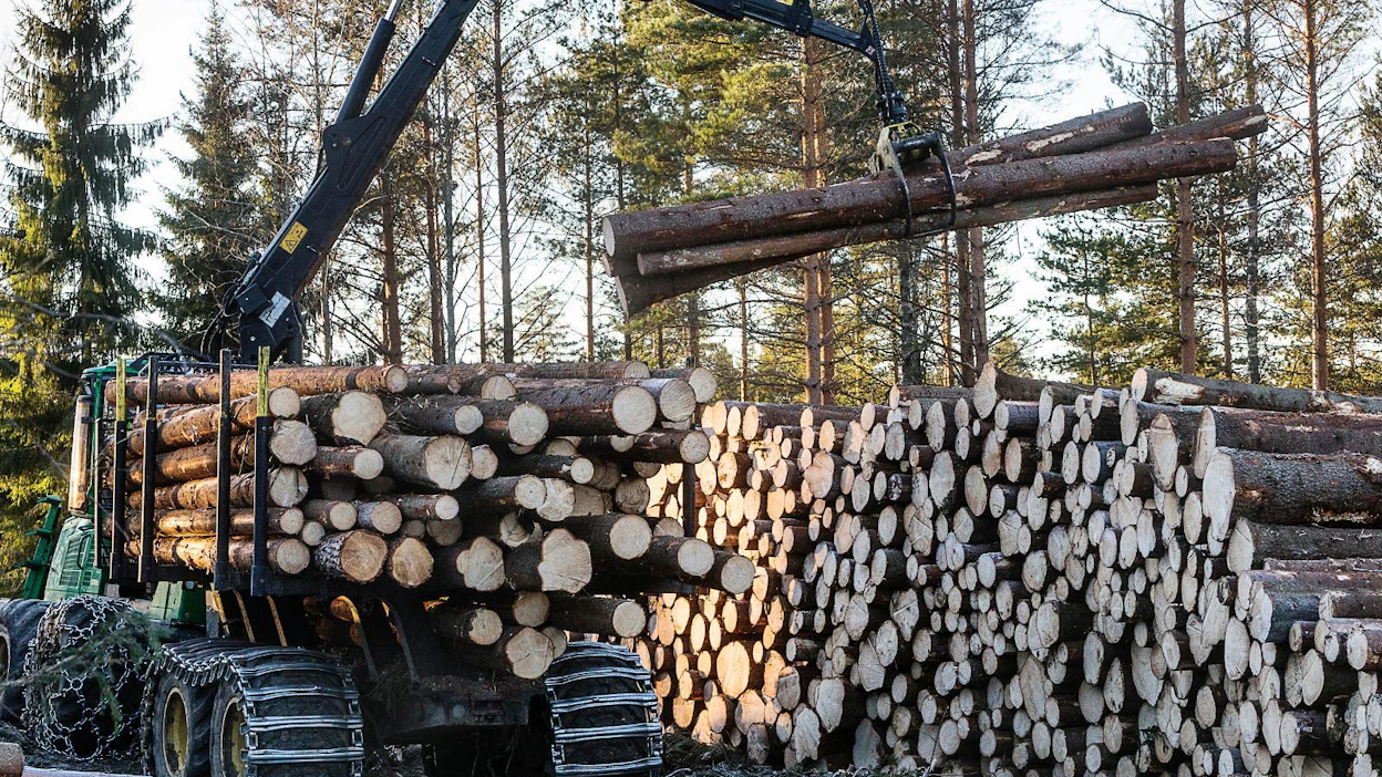 Suomen Sahat ry:n mukaan pieniläpimittaisen tukin sahaus ei nykyhinnoilla kannata.