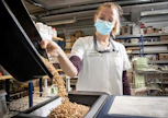 Kevätvehnän laatu on ollut tänä vuonna viime vuosia heikompi, joskin näytteissä on suurta vaihtelua. Laborantti Kaisa Rantanen kaatoi tiistaina kevätvehnän Jaarli-lajikkeen siemenviljaa NIT-analyysia varten Hankkija Oy:n rehu- ja viljalaboratoriossa Turussa. Analyysissä selvitetään viljan kosteus, hehtolitran paino sekä valkuais- ja tärkkelyspitoisuus.
