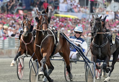 Kuvassa Twist Of Fate toukokuussa Solvallan kolmivuotiseliitissä, jossa se oli kovalla 11,5-ajalla toinen. Sen kausi on jatkunut kesällä arvokkailla totosijoilla E3-finaaleissa.