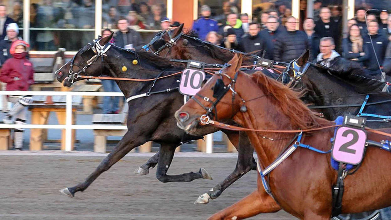 Iistä saakka Poriin saapunut Bella The Bomber (nro 10) kurkotti yllättäjänä 76-voittoon.