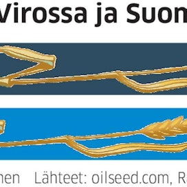 Virolainen viljanvälittäjä Oilseeds maksaa Tallinnassa 15 euroa enemmän vehnätonnista kuin suomalainen viljanostaja täällä.