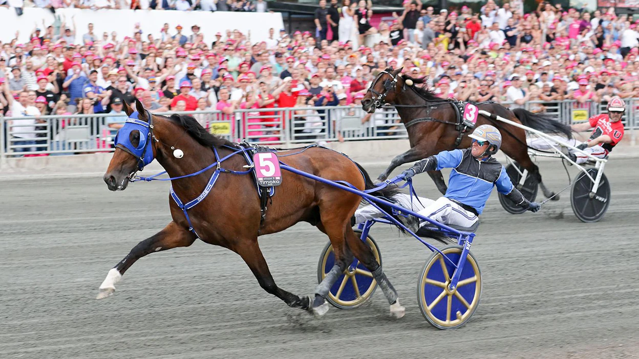 Björn Goop tuuletti Timokon kyydissä Elitloppet-voittoa vajaat kolme viikkoa sitten. Lauantaina parivaljakko nähdään Kouvolassa Kymi GP:ssä.