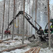 Waratah tarjoaa laajan kattauksen harvesteripäitä ja niiden tietojärjestelmiä eri konevalmistajille. Suomalaisista valmistajista esimerkiksi Prosilva hyödyntää yhteistyötä maksimaalisesti. Waratahin harvesteripään lisäksi koneisiin toimitetaan mittalaitteisto ja täydelllinen ohjausjärjestelmä kahvoja ja näppäimistöjä myöden.