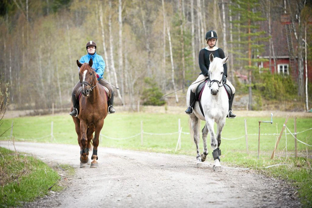 Raija Romppainen, hevonen Hessu ja Anna Alasaarela, hevonen Fido, Vihdin ratsutalli jokamiehenoikeus ratsastaja tiellä