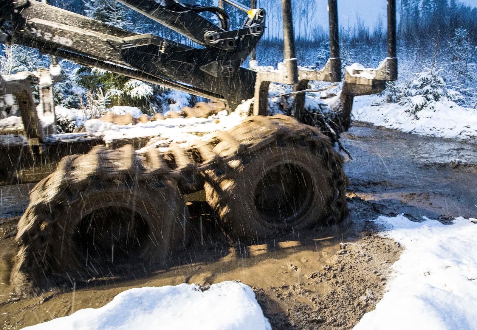Pehmeiden maiden puunkorjuun on ollut vaikeaa syksyllä ja alkutalvesta.