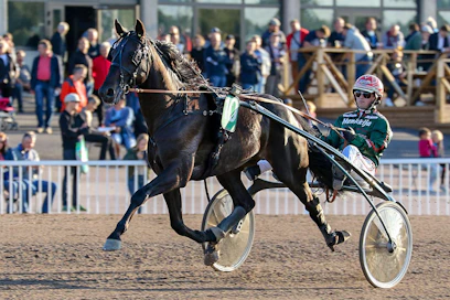Run For Royaltyn nelivuotiskausi ei täyttänyt siihen asetettuja kovia toiveita, mutta nyt oriille kuuluu hyvää.