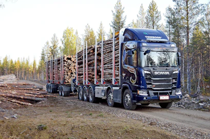 Pikkujätti on Metsähallitus Metsätalous Oy:n kehittämä 10-akselinen puutavara-autoyhdistelmä. Pitkärunkoiseen vetoautoon sopii kaksi puutavaranippua, mikä tekee yhdistelmästä tasapainoisemman. Nyt yhdistelmään on asennettu myös rengaspaineiden säätöjärjestelmä.