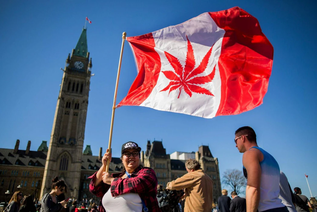 Kanada laillisti kannabiksen viime vuonna. Ensitietojen mukaan kannabiksen käyttö Kanadassa ei ole lisääntynyt merkittävästi. LEHTIKUVA / AFP
